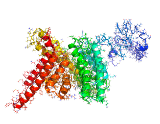 Enzymes Involved in Lipid Production in Humans and Plants 
